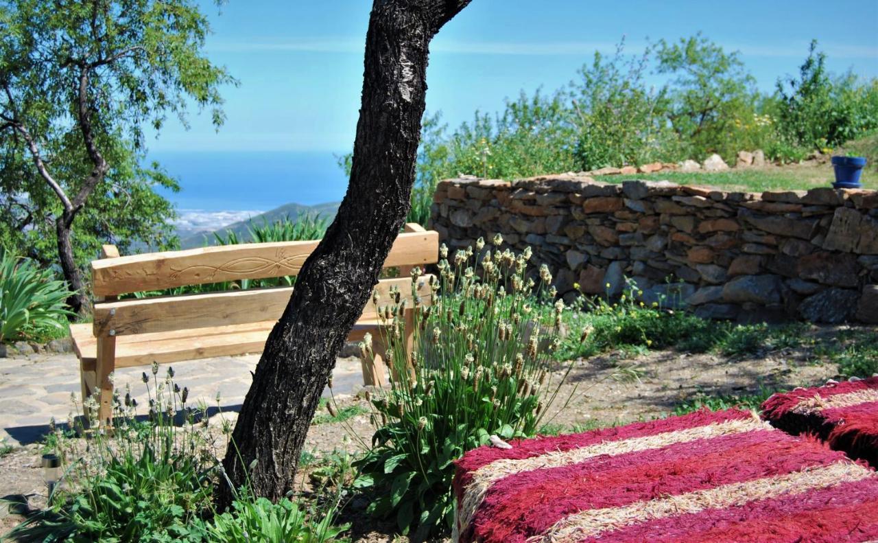 Cortijo Los Maximos Turon Εξωτερικό φωτογραφία