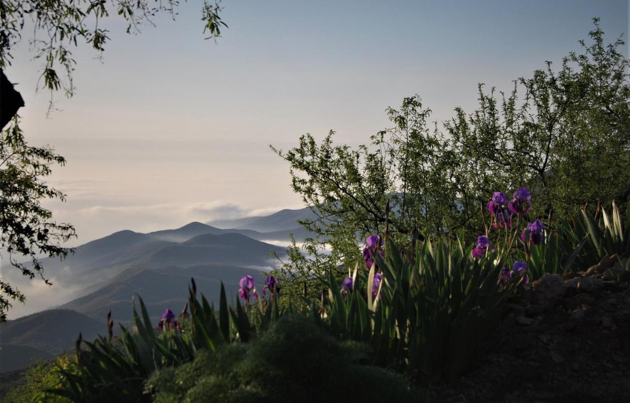 Cortijo Los Maximos Turon Εξωτερικό φωτογραφία