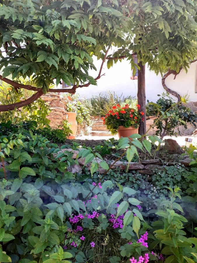 Cortijo Los Maximos Turon Εξωτερικό φωτογραφία