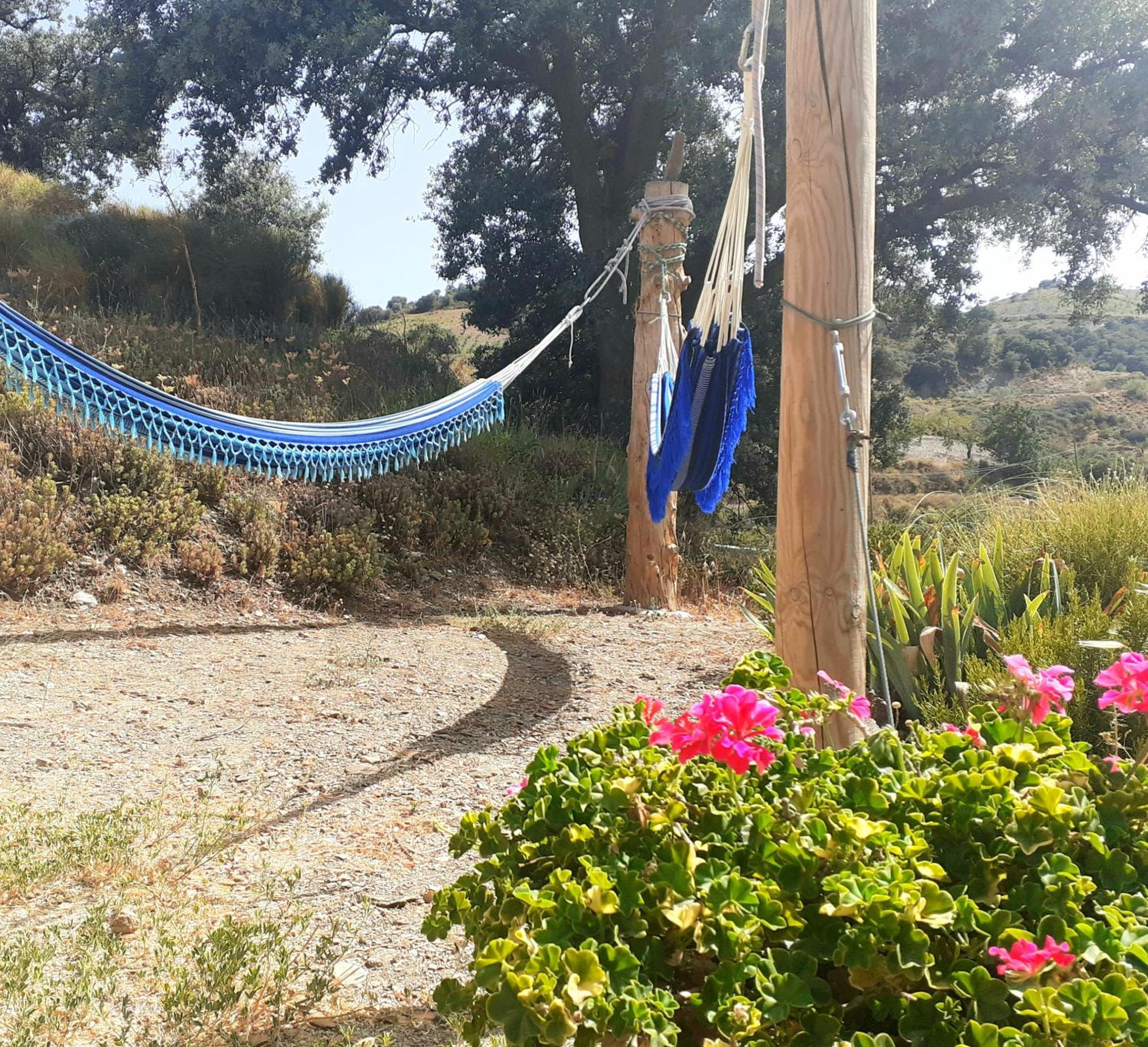 Cortijo Los Maximos Turon Εξωτερικό φωτογραφία