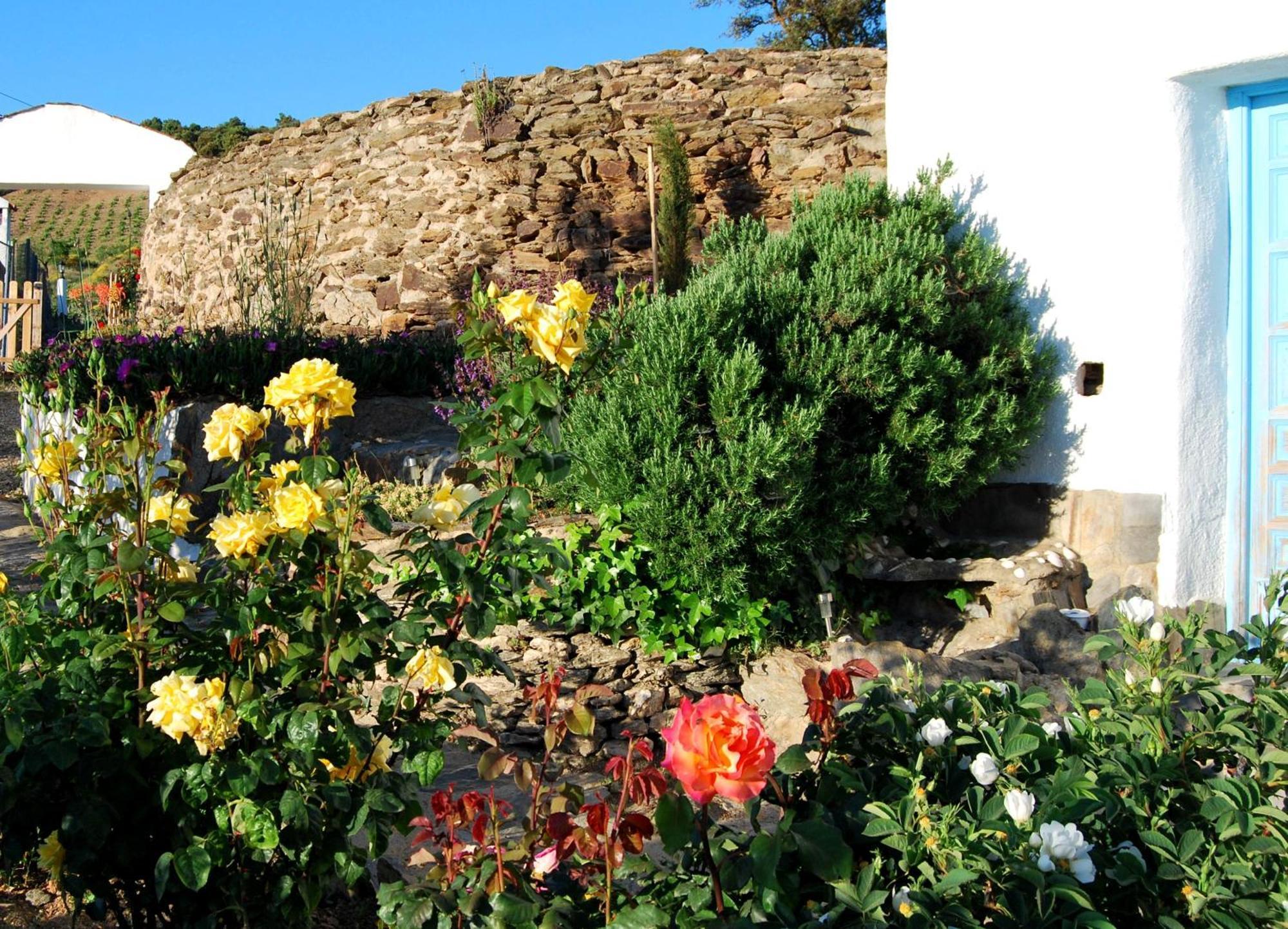 Cortijo Los Maximos Turon Εξωτερικό φωτογραφία
