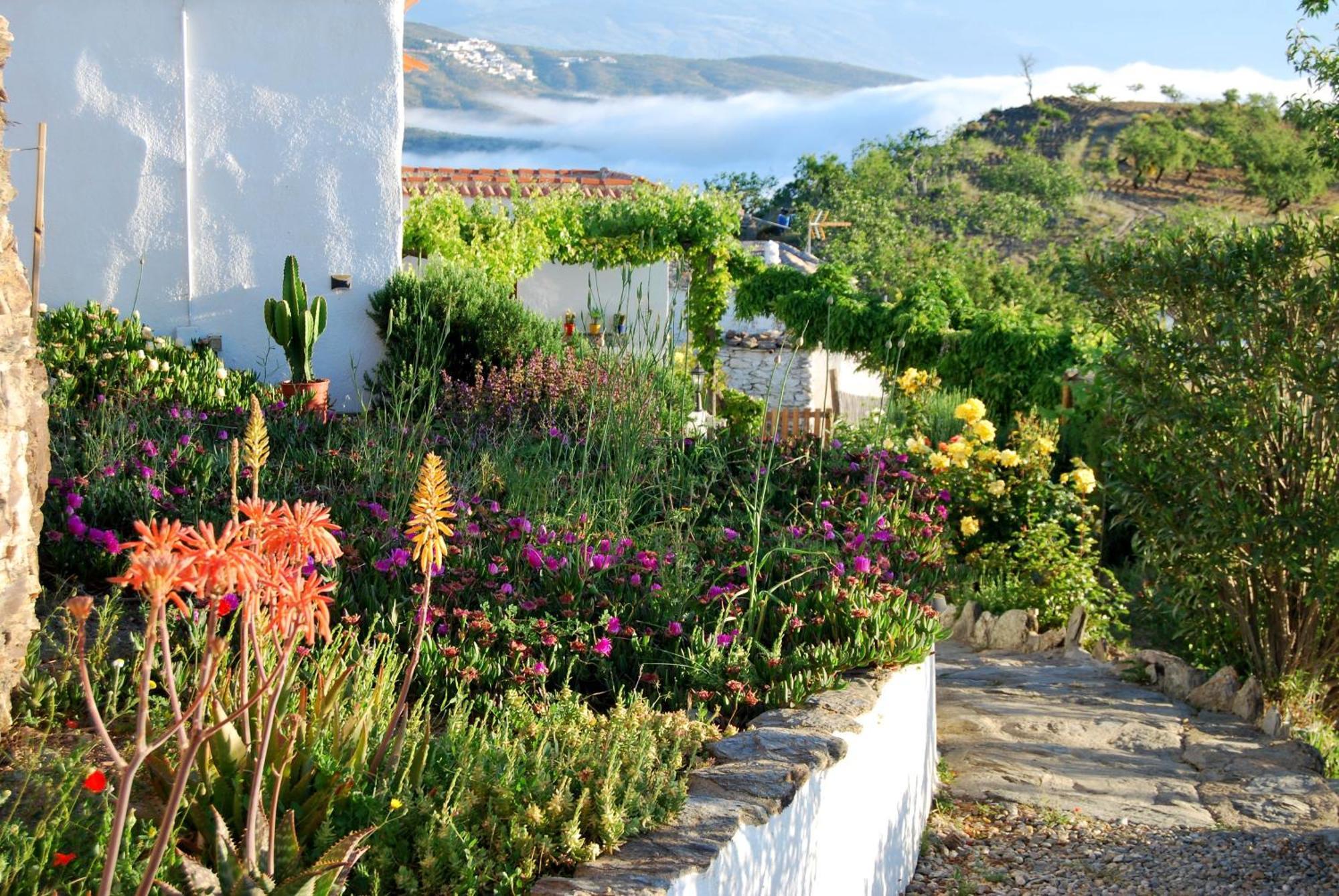 Cortijo Los Maximos Turon Εξωτερικό φωτογραφία
