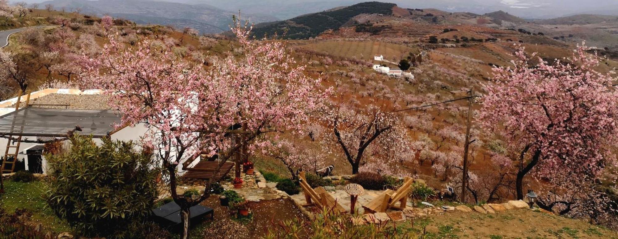 Cortijo Los Maximos Turon Εξωτερικό φωτογραφία