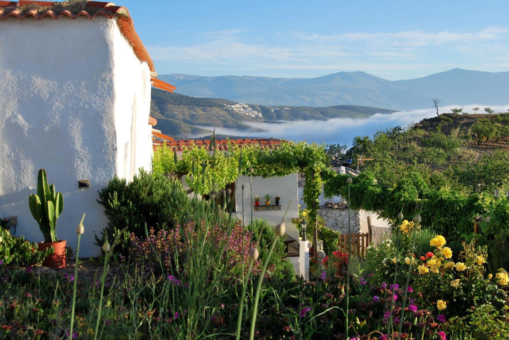 Cortijo Los Maximos Turon Εξωτερικό φωτογραφία