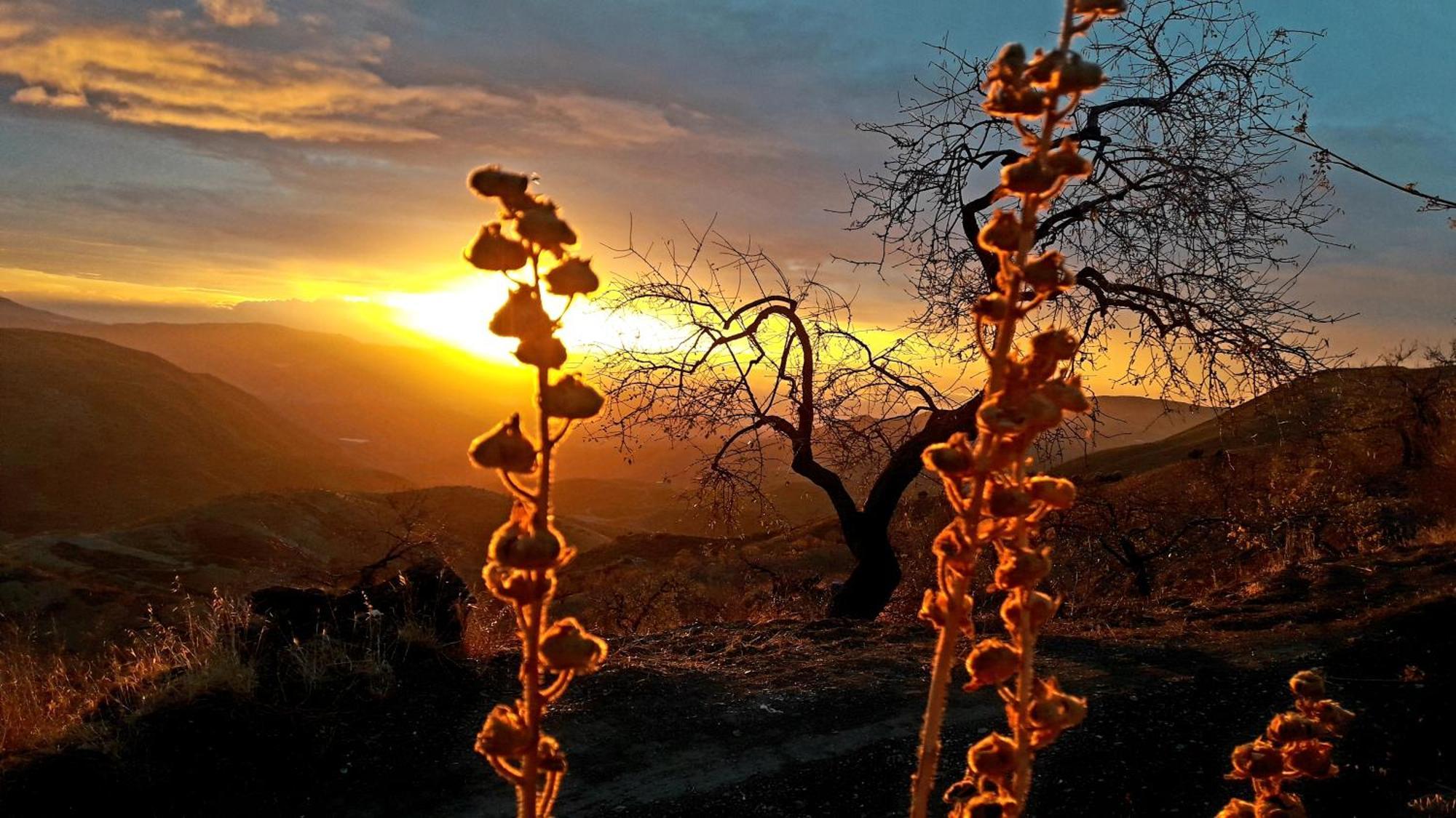 Cortijo Los Maximos Turon Εξωτερικό φωτογραφία