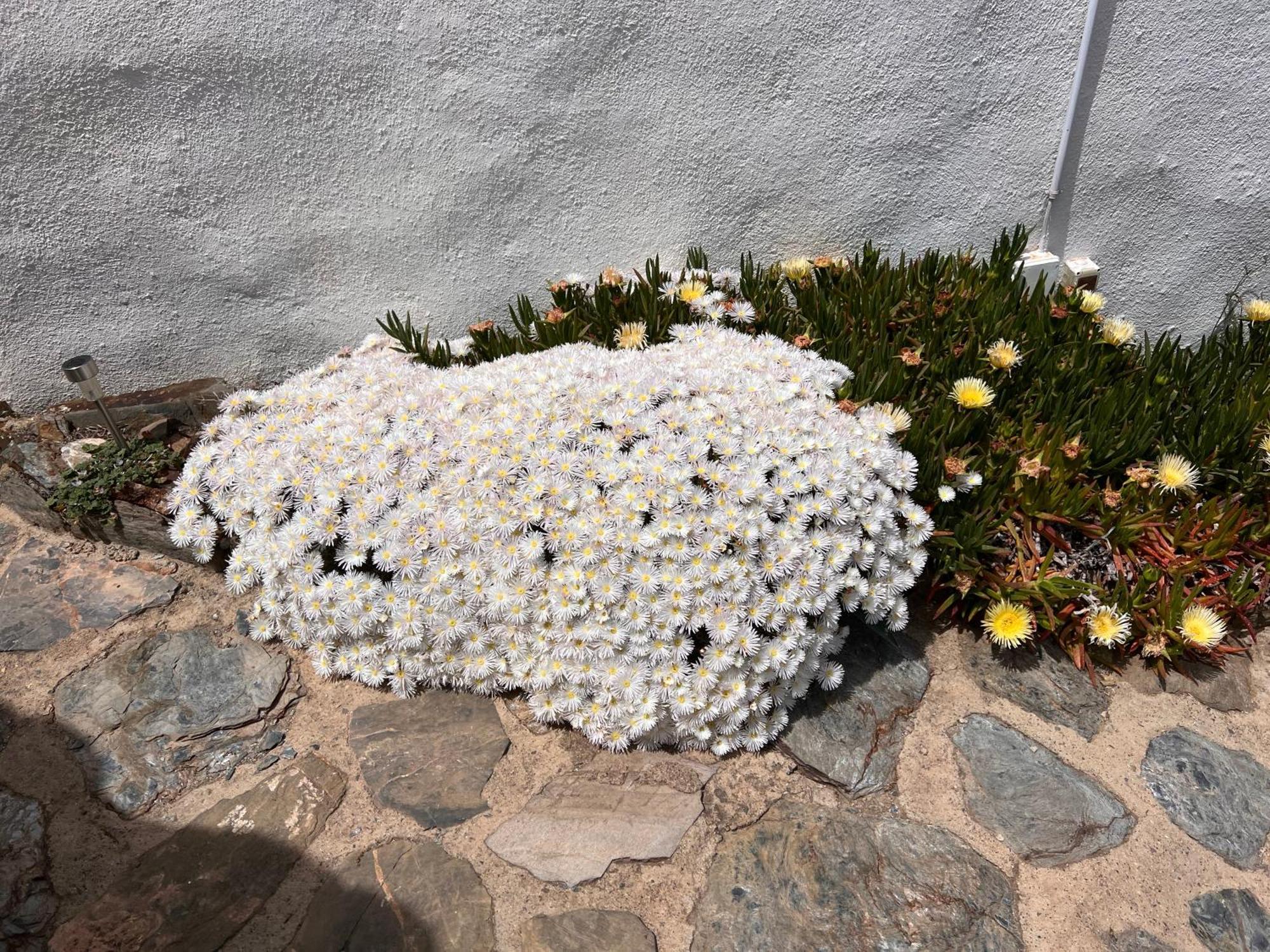 Cortijo Los Maximos Turon Εξωτερικό φωτογραφία