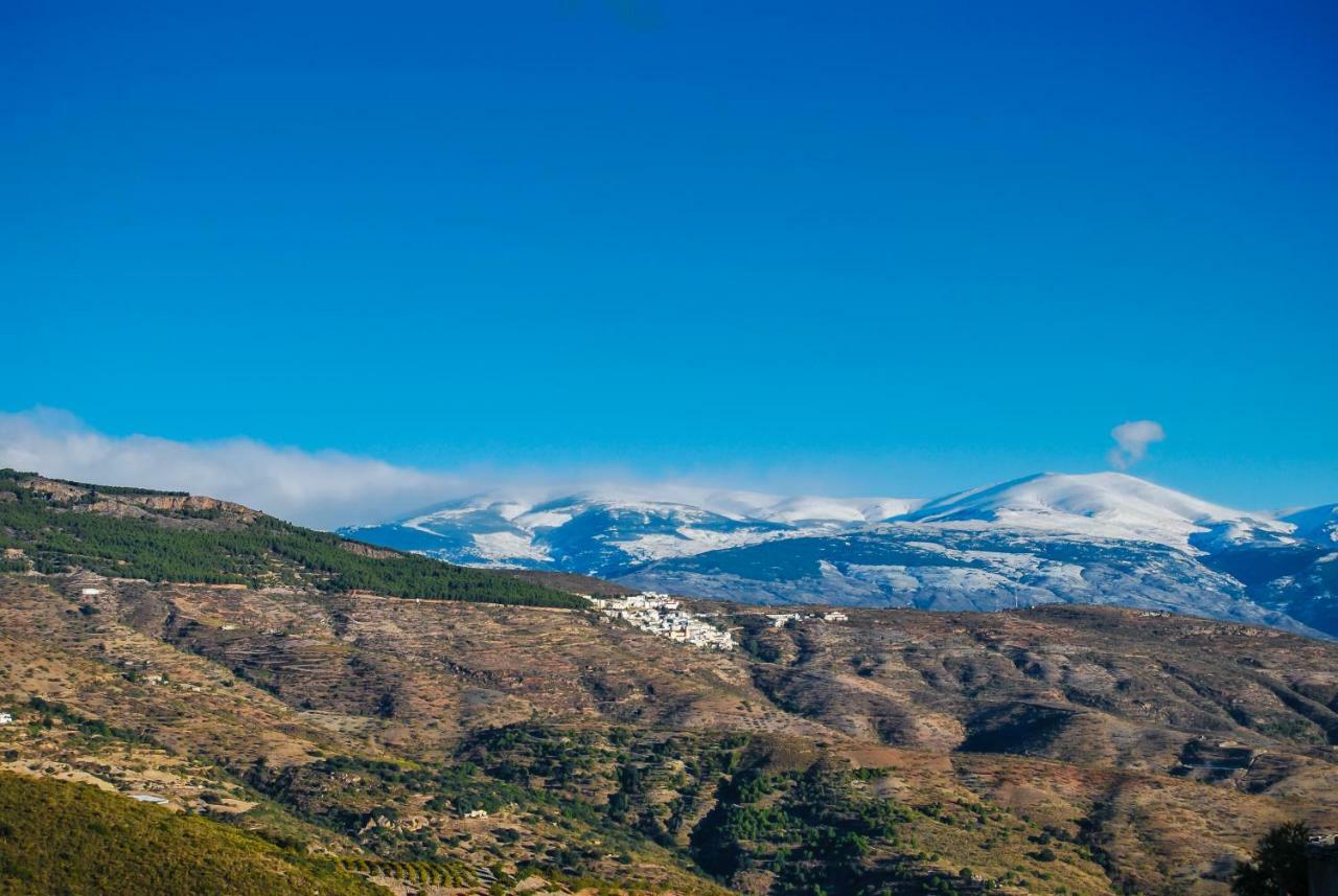 Cortijo Los Maximos Turon Εξωτερικό φωτογραφία
